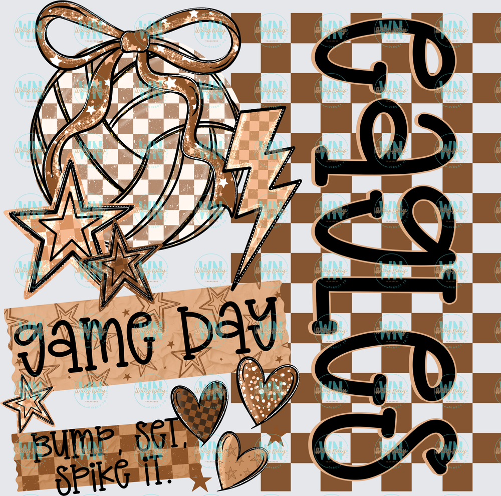 Game Day Eagles-Ready to Press DTF Transfer