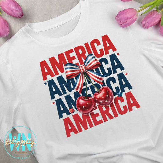 America America-Ready to Press DTF Transfer