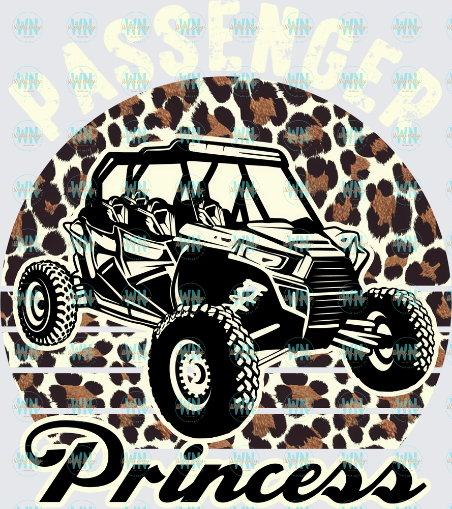 Cheetah passenger princess