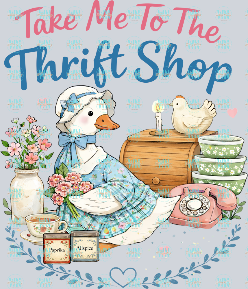 take me to the thrift shop
