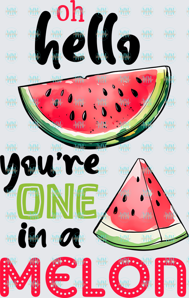 Oh Hello, You're One in a Melon-Ready to Press DTF Transfer