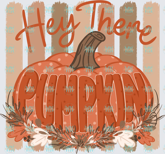 Hey There Pumpkin-Ready to Press DTF Transfer