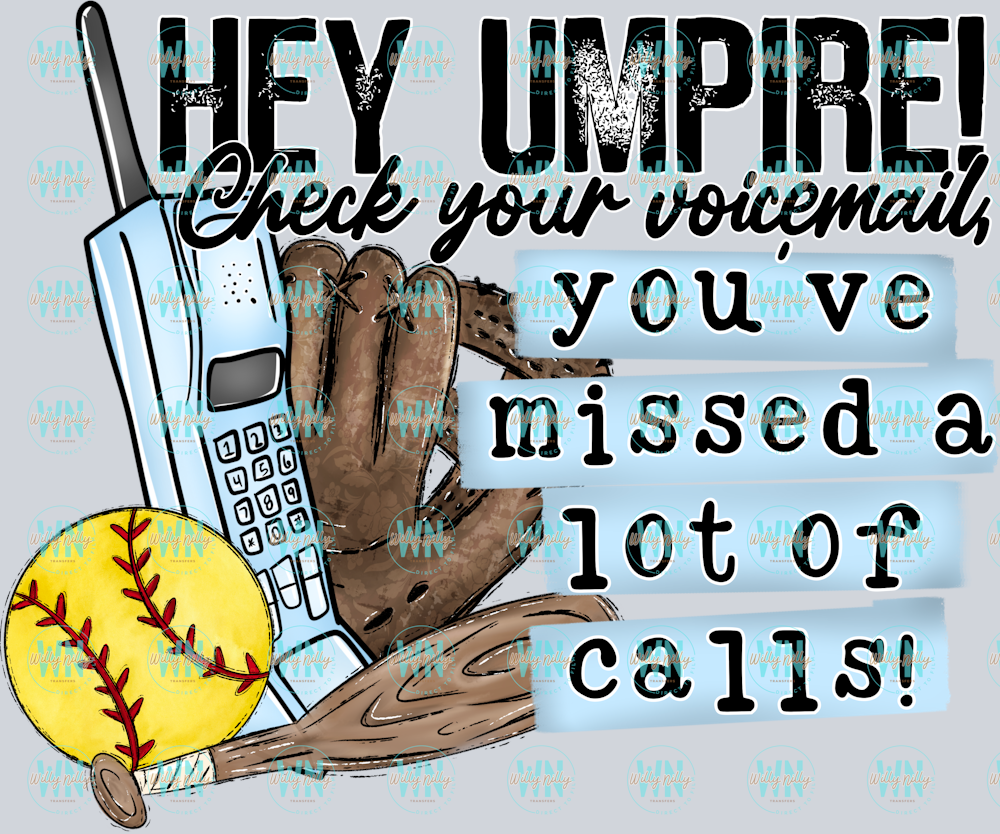 Hey Umpire Softball
