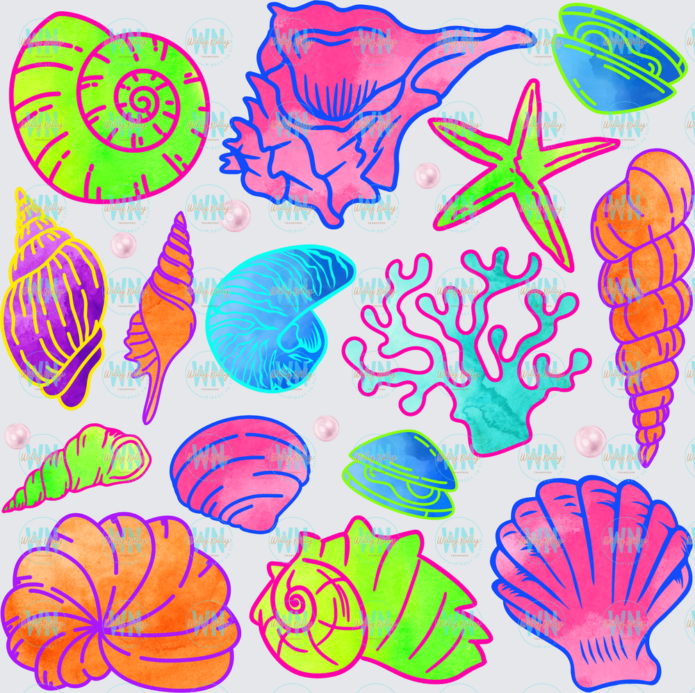 shells