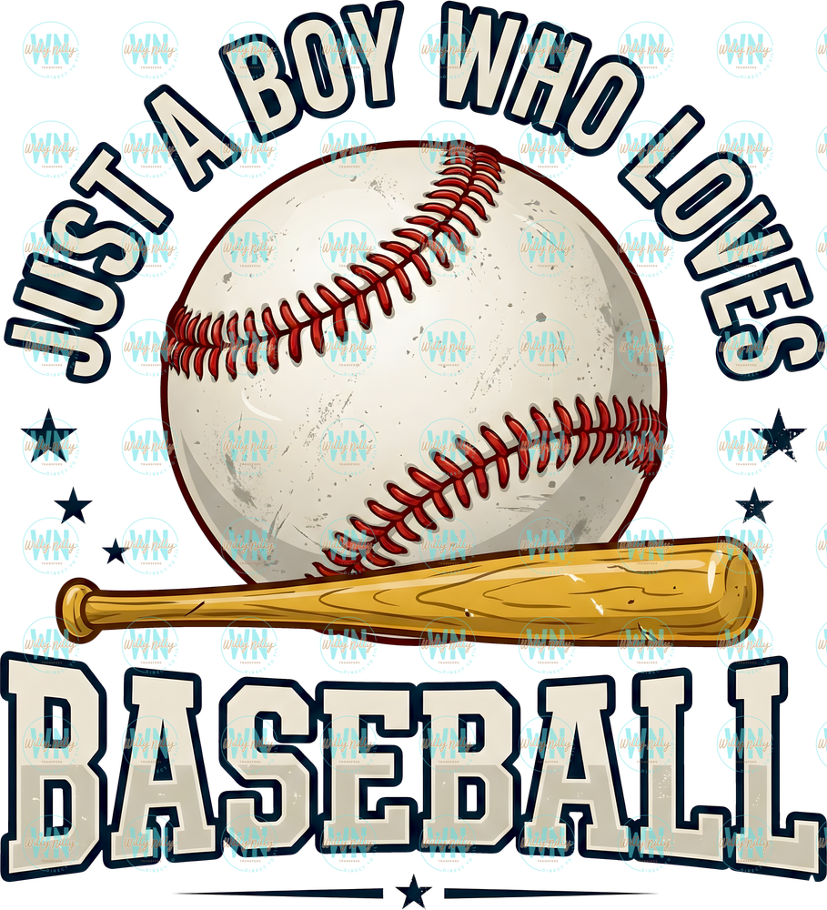 just a boy who loves baseball