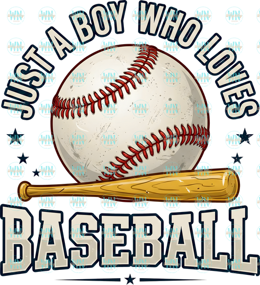 just a boy who loves baseball